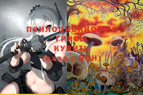 гидропоника Богданович