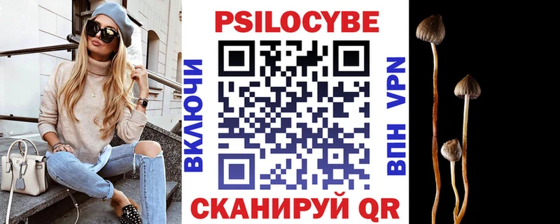 Псилоцибиновые грибы Psilocybine cubensis  Клин 